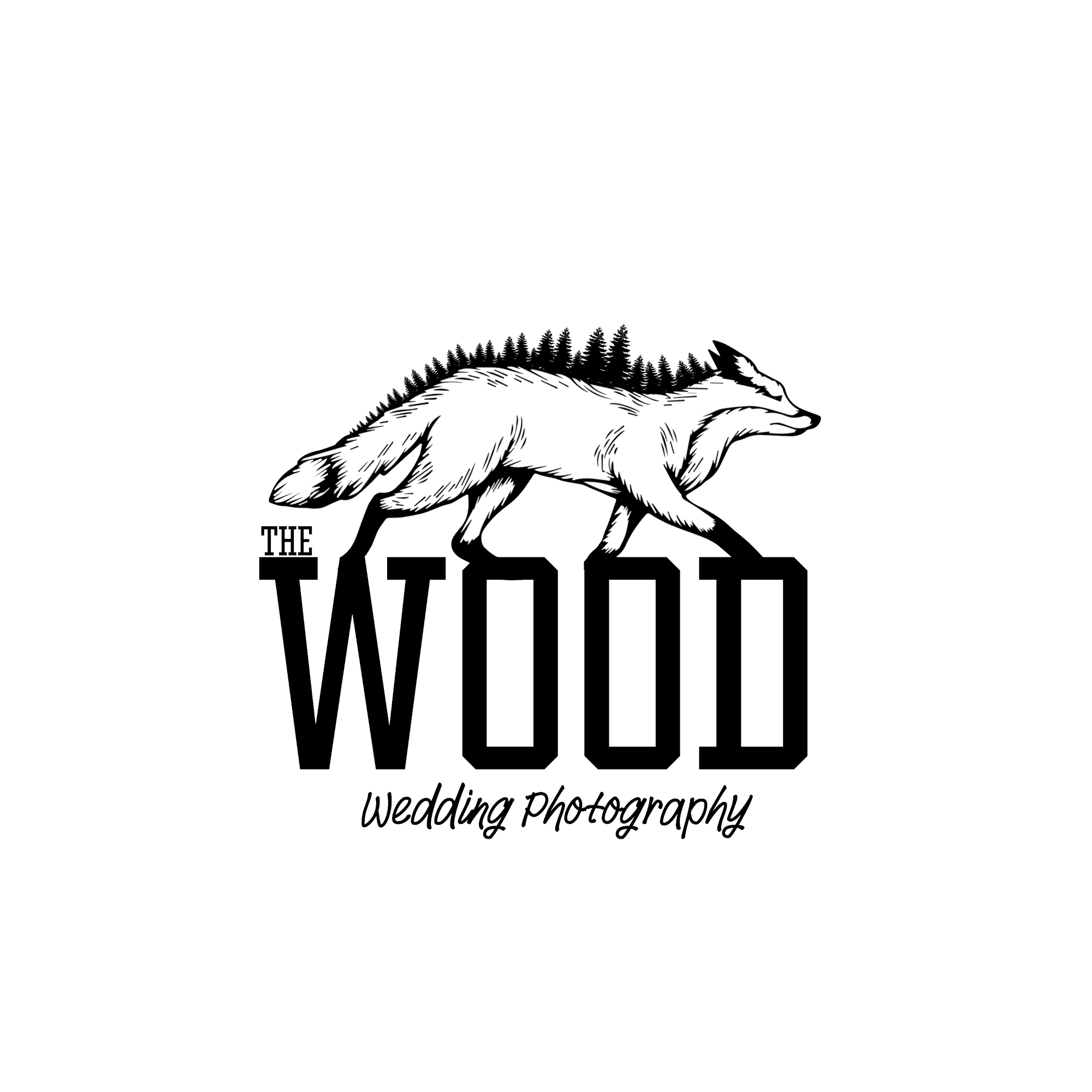 Wood Fotoğrafçılık